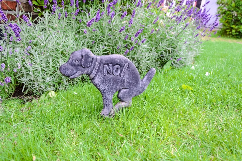 Apprentissage de la propreté chez le chiot
