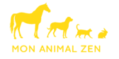 logo maz